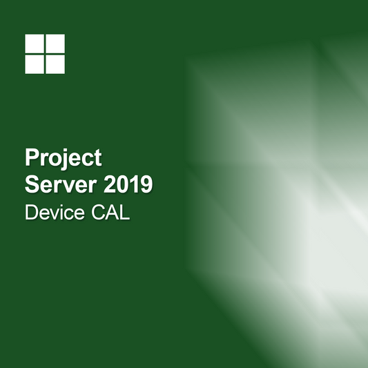 Project Server 2019 Licență CAL pentru dispozitiv